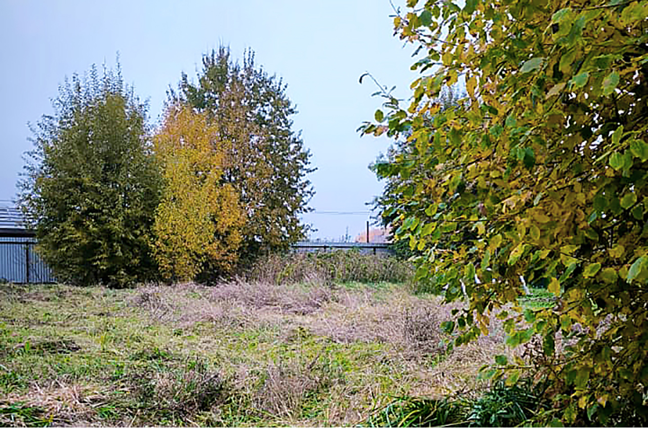 Основное изображение