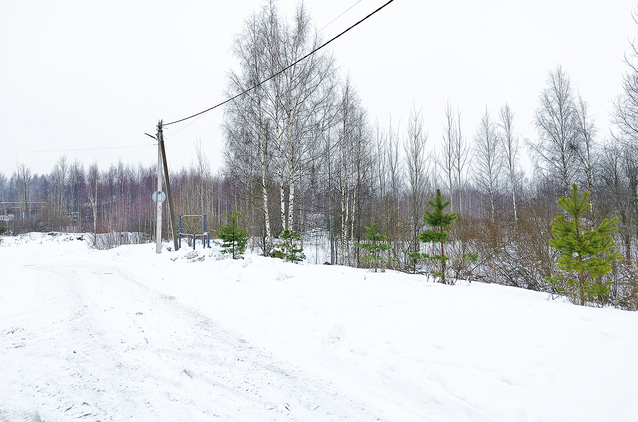 Основное изображение